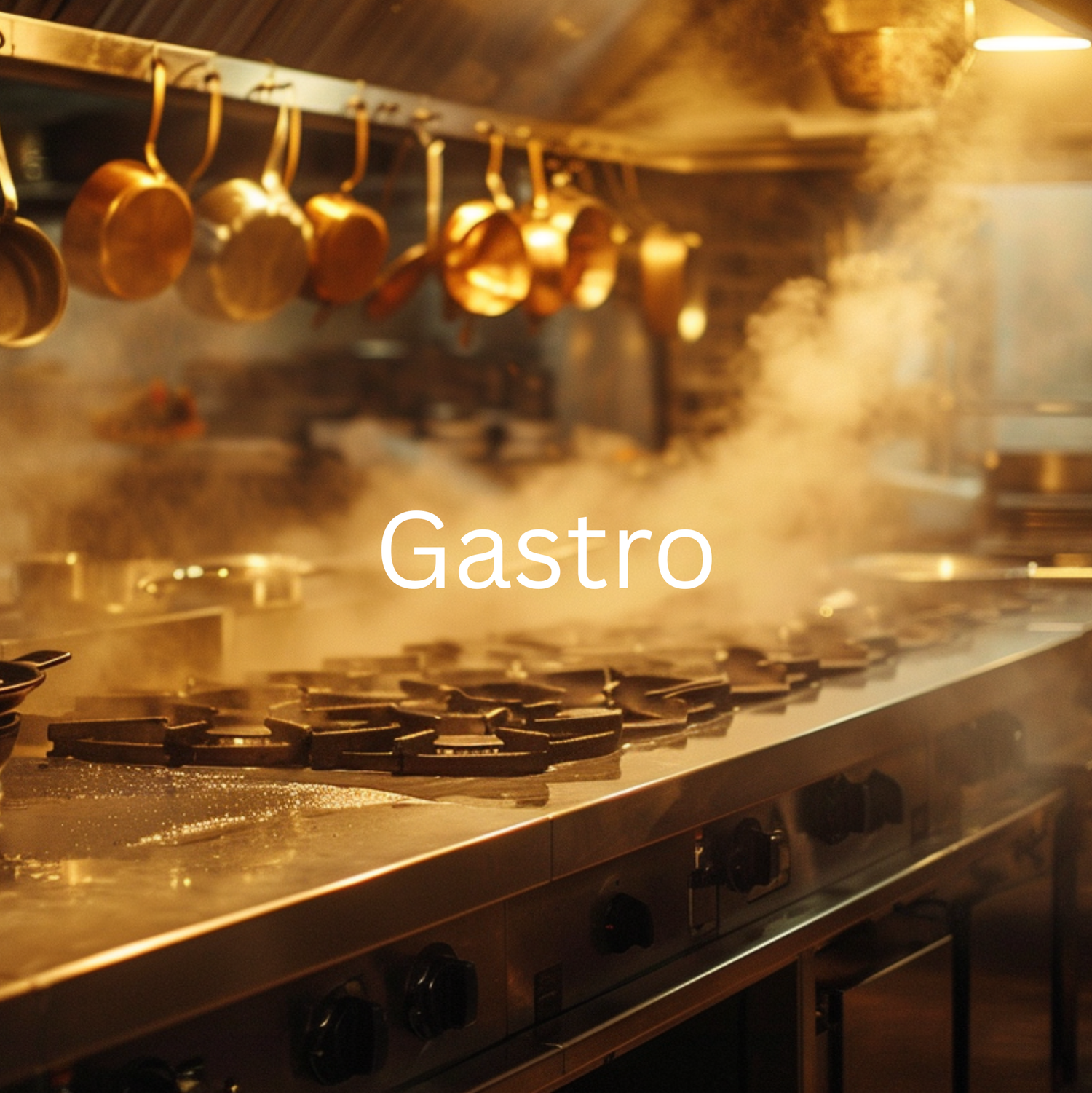 Gastro